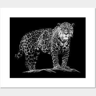 Leopard Posters and Art